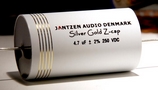 Jantzen-silver-gold